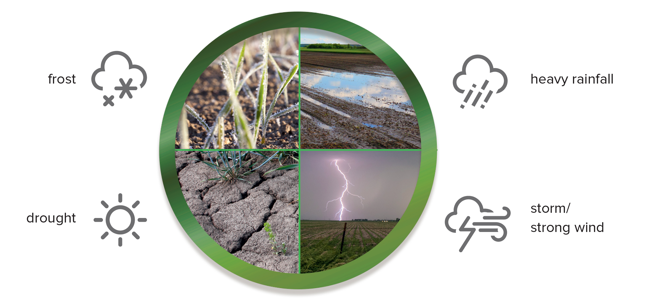 fertilizers for new challenges in agriculture